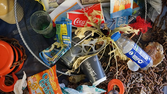 Die immer größer werdenden Mengen an Plastikmüll haben gravierende Folgen für unsere Umwelt und Gesundheit. 