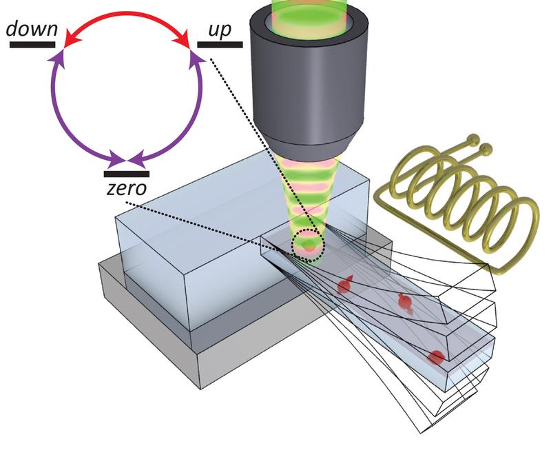 The oscillating cantilever influences the spin of the electrons in the nitrogen-vacancy centers (red arrows). The phase of the oscillator determined in which direction the spin rotates.