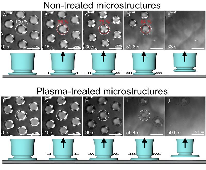 Mit Plasma behandelte Silikonoberflächen (u.) weisen eine stärkere Haftung auf als unbehandelte (o.).