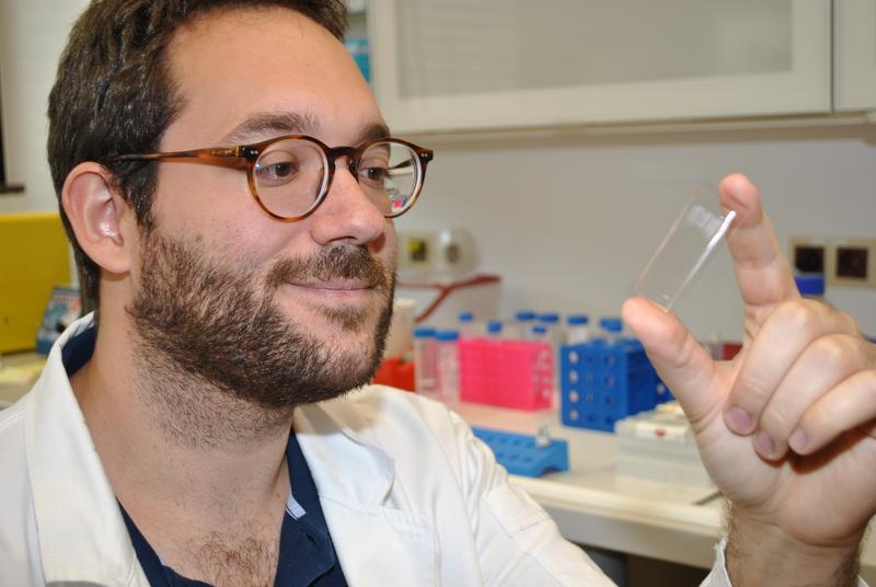 Um das neuronale Netzwerk zu trainieren, presste Alexander Kihm Blut durch hauchfeine Mikroröhrchen in einem solchen Objektträger und klassifizierte die Blutkörperchen unter dem Mikroskop.
