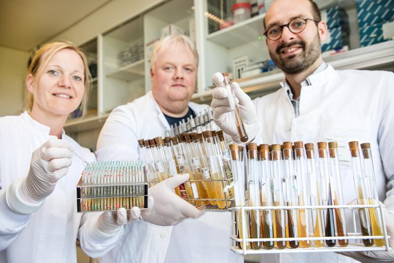Dr. Nina Cramer, Dr. Jens Klockgether und Dr. Sebastian Fischer zeigen Röhrchen mit Bakterien aus der Stammsammlung.