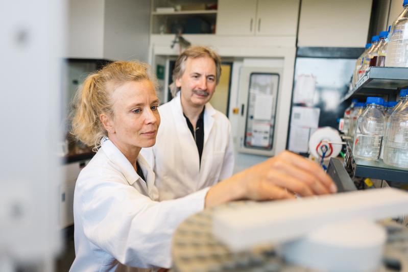 Anja Hemschemeier und Thomas Happe halten DNA-Enzyme für ökologisch und ökonomisch sinnvoll – und auch für realisierbar.