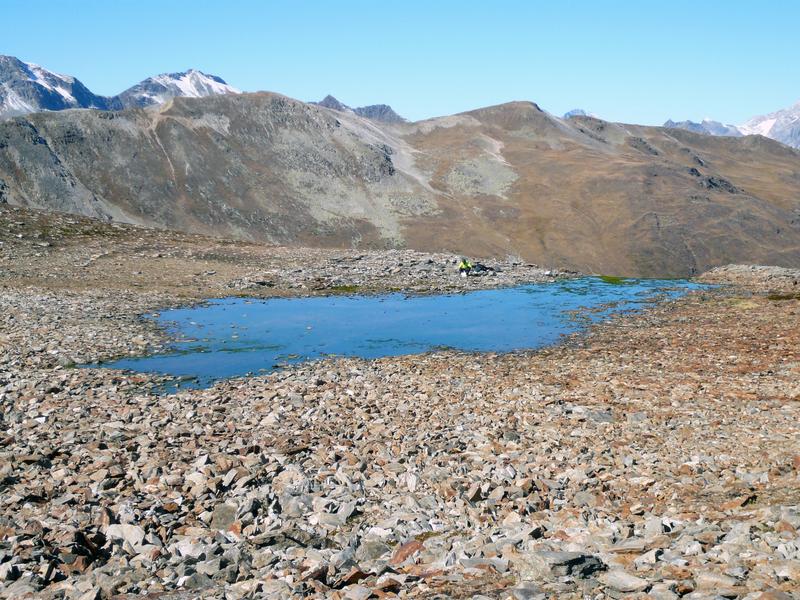 Die Quelle des Bachs liegt im Einzugsgebiet eines kleinen Bergsees in einem südlichen Seitental des Engadins.