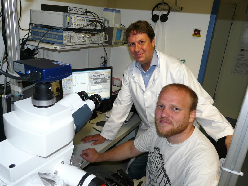 Prof. Dr. Christian Geis und Dr. Holger Haselmann (r.) vom Uniklinikum Jena konnten mit einem deutsch-spanischen Wissenschaftlerteam die Mechanismen der AMPA-Rezeptor-Autoimmunenzephalitis aufklären.
