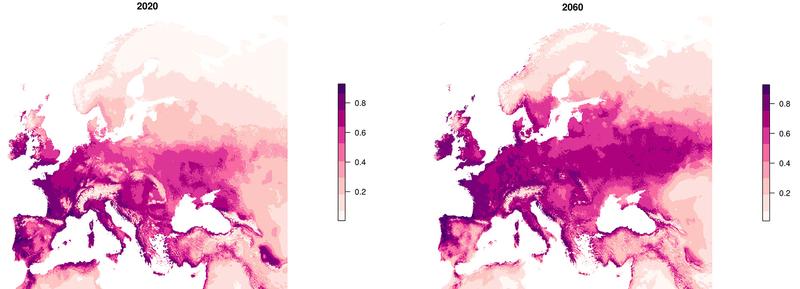 Mögliche Verbreitung der Apfelfruchtfliege im Jahr 2020 und 2060 unter Einbezug von Klimamodellen.