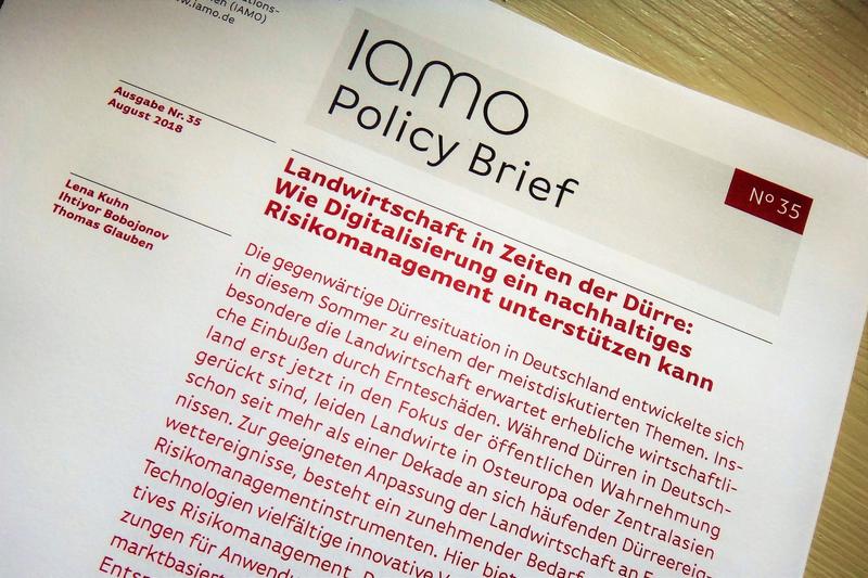IAMO Policy Brief 35.