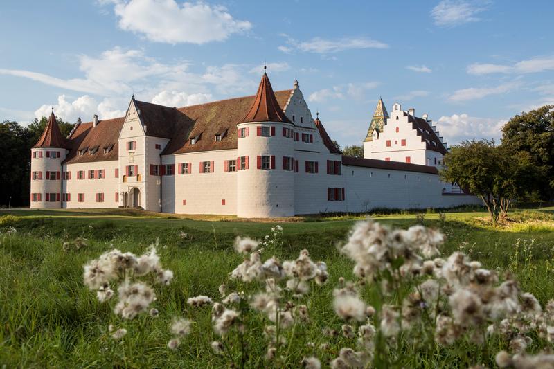 Im Schloss Grünau in Neuburg an der Donau sind das Aueninstitut der Katholischen Universität Eichstätt-Ingolstadt sowie das Aueninformationszentrum untergebracht.