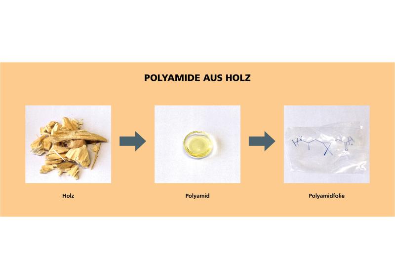 Vom Holzabfall zum Hochleistungskunststoff: Terpene aus harzreichem Holz lassen sich zu biobasierten Polyamiden synthetisieren, die transparent und zudem hitzestabil sind. 