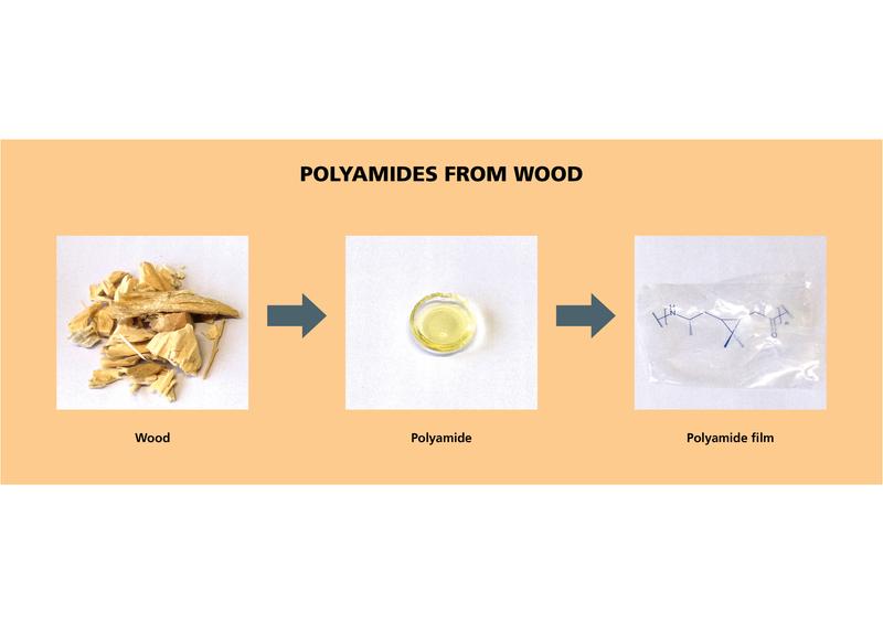 From wood waste to high-performance polymers: Terpenes from turpentine are converted to bio-based, transparent and heat-stable polyamides under application of a new catalytic process. 