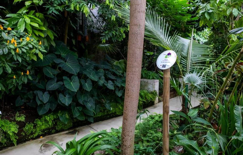 Blick auf den Liebespfad im Botanischen Garten