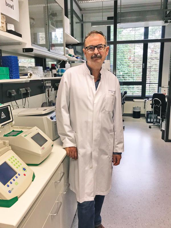 Dr. Andras Bilkei-Gorzo and his colleagues have determined how endocannabinoids attenuate inflammatory reactions in the brain. 