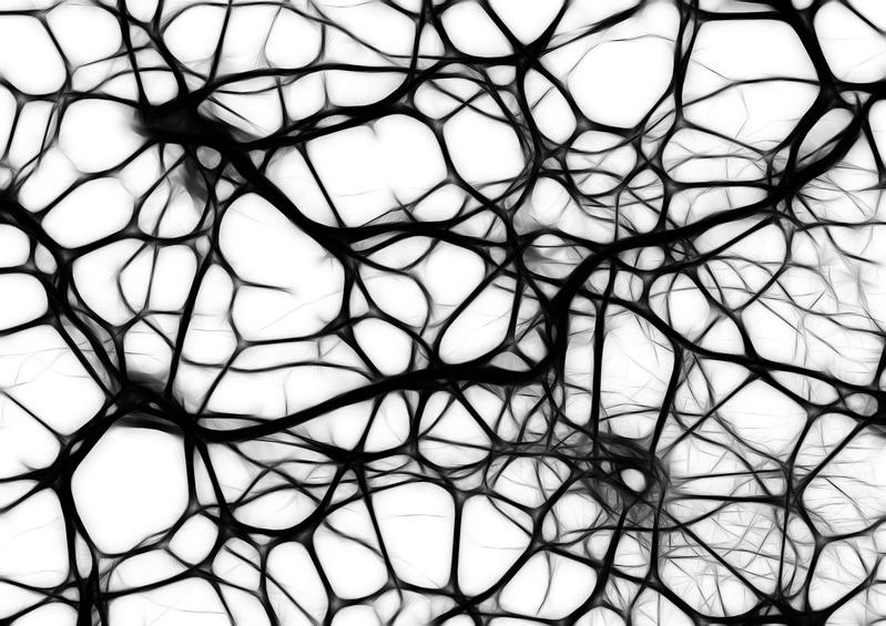 Das menschliche neuronale Netz stand Pate bei der Entwicklung der künstlichen neuronalen Netze für die Regelung von solarthermischen Heizungsanlagen.