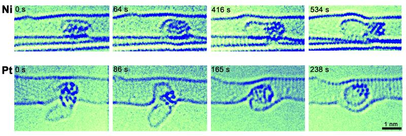   Katalytische Wirkung von Nickel- und Platin-Metallnanoclustern auf die sich neu um Metallnanocluster bildenden Kohlenstoffstrukturen innerhalb einer Kohlenstoffnanoröhre