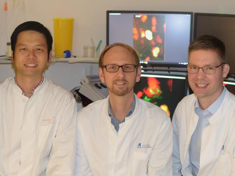 Dr. Kenichi Kimura, Dr. Michael Hesse und Dr. Michael Döngi  (von links) von der Universität Bonn.  