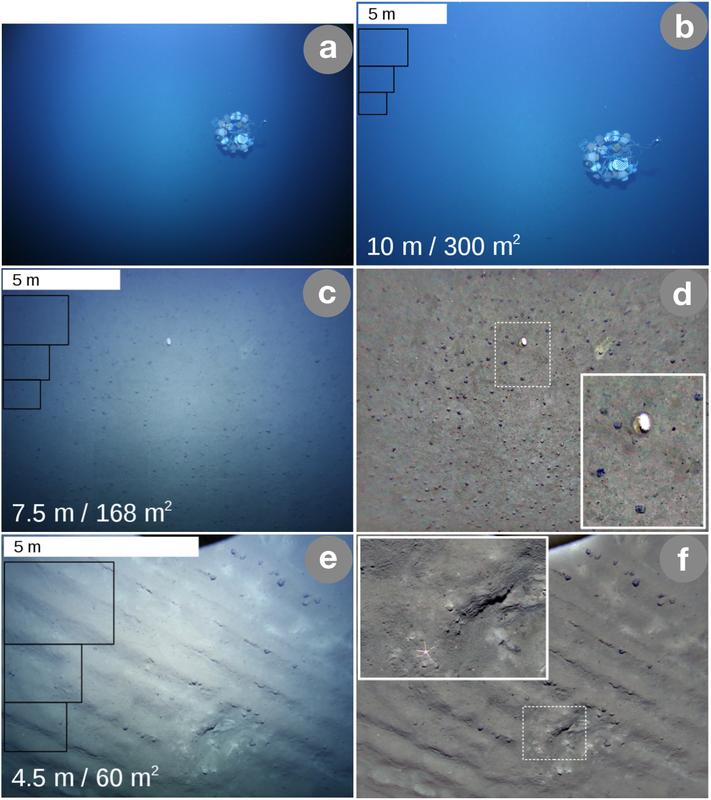 Aufnahmen des AUV ABYSS vom pazifischen Meeresboden aus 10, 7,5, und 4m Abstand. Die a und b zeigen einen stationären Lander, c bis f Manganknollen, erkennbar als dunkle Punkte am Meeresboden.