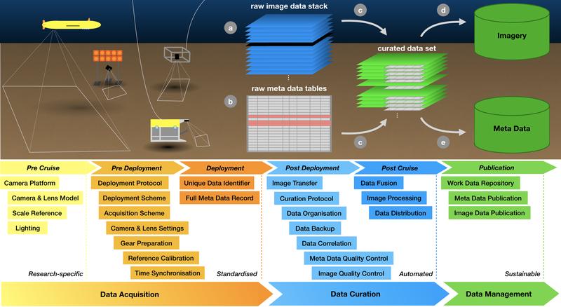 Schematische Übersicht des Workflows zur Analyse von Bilddaten von der Datenerhebung über die Kuratierung bis zum Datenmanagement.