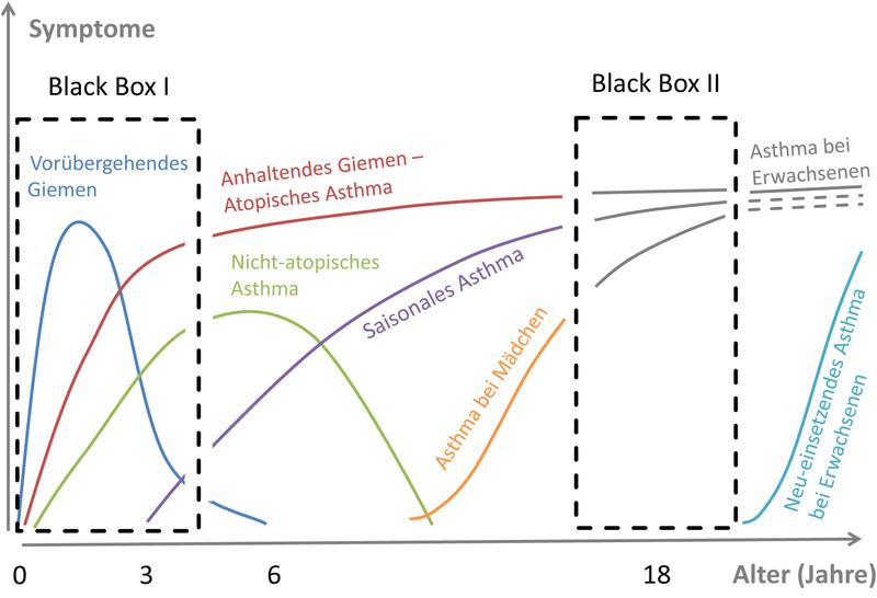 Unterschiedliche Krankheitsverläufe beim Asthma mit zwei Zeitfenstern, die im Zentrum der ALLIANCE-Forschung liegen. (Abbildung[M]: Fuchs et al., 2018)
