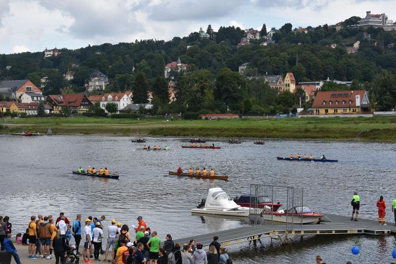 Szene aus der Benefizregatta "Rudern gegen Krebs" 2017 auf der Elbe.