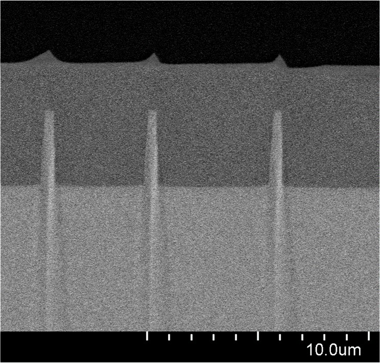 REM-Aufnahme einer stationären Abscheidung von 5 μm SiO2 auf 3 μm tiefen Silizium-Strukturen im Querschnitt