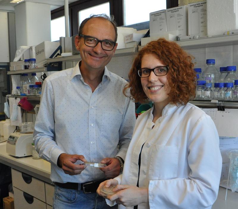 Professor Johannes Herrmann und seine Doktorandin Katja Hansen erforschen den Transport von Proteinen in die Mitochondrien.