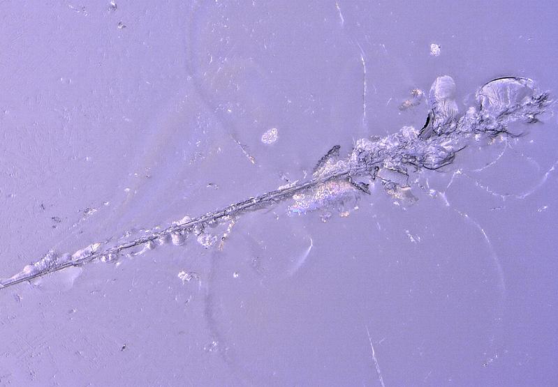 Oberfläche eines Spezialglases, wie es für Displaygläser verwendet wird. Der Kratzer mit einer Länge von 200 µm wurde unter kontrollierten Bedingungen mit Hilfe einer Diamantspitze erzeugt. 