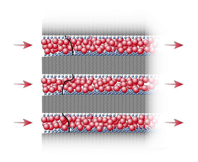 Schematische Zeichnung der Schichtstruktur aus Kunststoffschichten (grau hinterlegt; die Endgruppen der Molekülketten sind blau markiert) und dazwischenliegenden Ionen (rot).