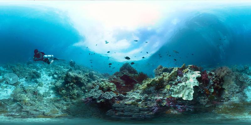  In den Zelten des Leibniz-Zentrums für Marine Tropenforschung und der Jacobs University können die Besucher zu virtuellen Tauchgängen zu Korallenriffen aufbrechen. 
