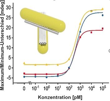 Nanosonde aus zwei „Balken“ zum optischen Nachweis pikomolarer RNA-Mengen. 