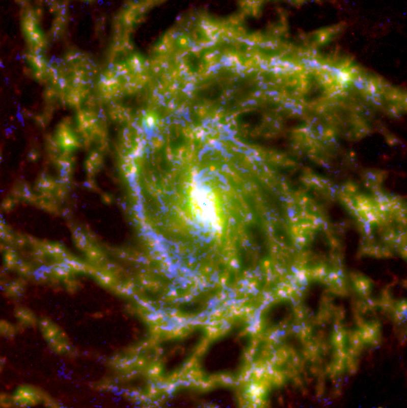 Die Spiralgalaxie IC 342 im Sternbild Camelopardalis. Das NOEMA-Bild zeigt in bisher unerreichter Präzision die Staubwolkenverteilung und damit aktive Sternentstehung in der Galaxie.