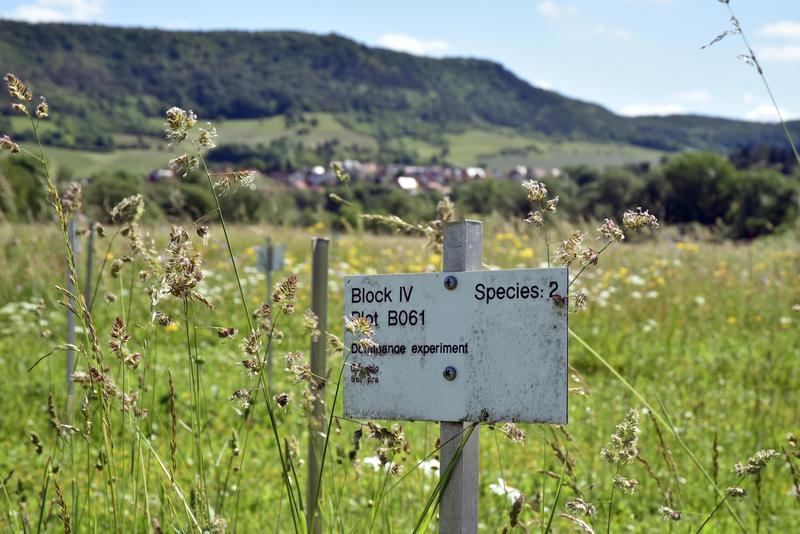 Beim Jena-Experiment, das während der Tagung besucht wird, fallen zahlreiche Daten an, die mit informationstechnischen Mitteln gesammelt und ausgewertet werden. 