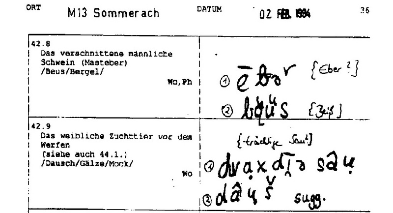 Ausschnitt aus einem Fragebuch zur Dialekterfassung mit handschriftlichen Eintragungen in Lautschrift und zusätzlichen Kommentaren der Interviewerin.