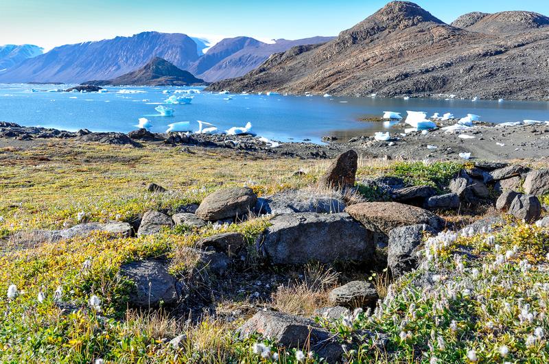 Die Pflanzengemeinschaft in der arktischen Tundra ist in den letzten dreißig Jahren höher geworden.