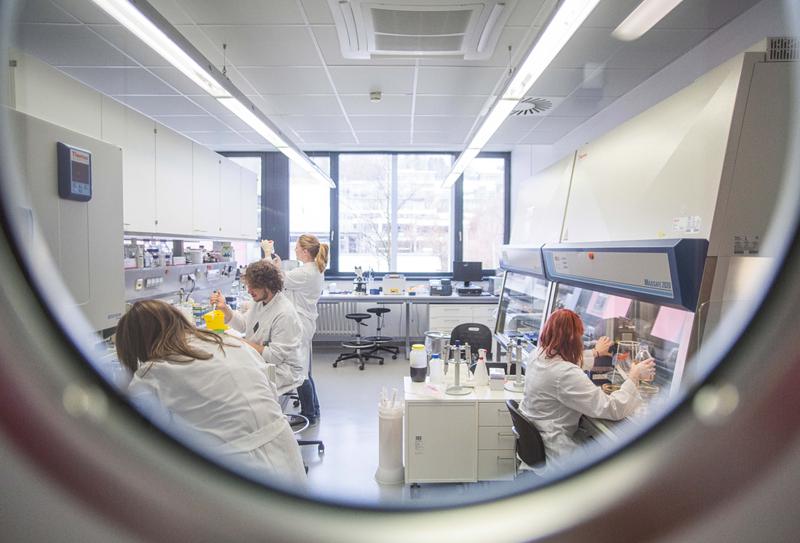 In the Cluster of Excellence ‚Balance of the Microverse‘, interdisciplinary research teams work in microbiological laboratories. 