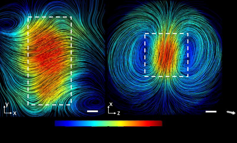 Die magnetischen Feldlinien im Inneren eines supraleitenden Blei-Quaders bei 4,3 Kelvin. Die Schnittebene ist durch den gestrichelten Umriss angedeutet. Der Skalenstrich entspricht 5 mm. 
