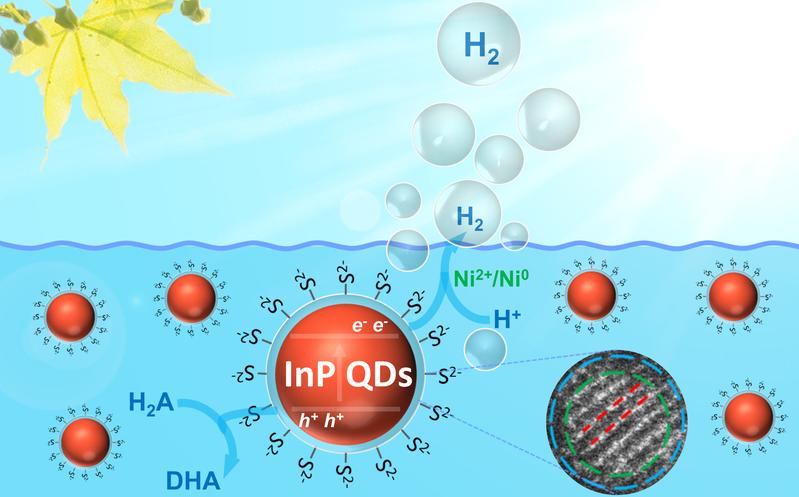 Schematische Darstellung der photokatalytischen Wasserstoffproduktion mit InP/ZnS Quantenpunkten in einem typischen Testverfahren.