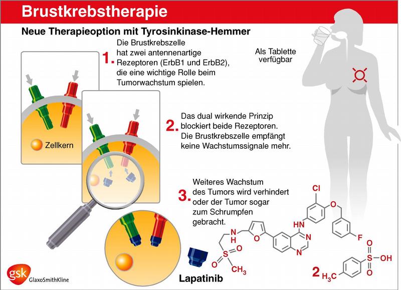 Wirkmechanismus des dualen, oralen Tyrosinkinaseinhibitors Lapatinib