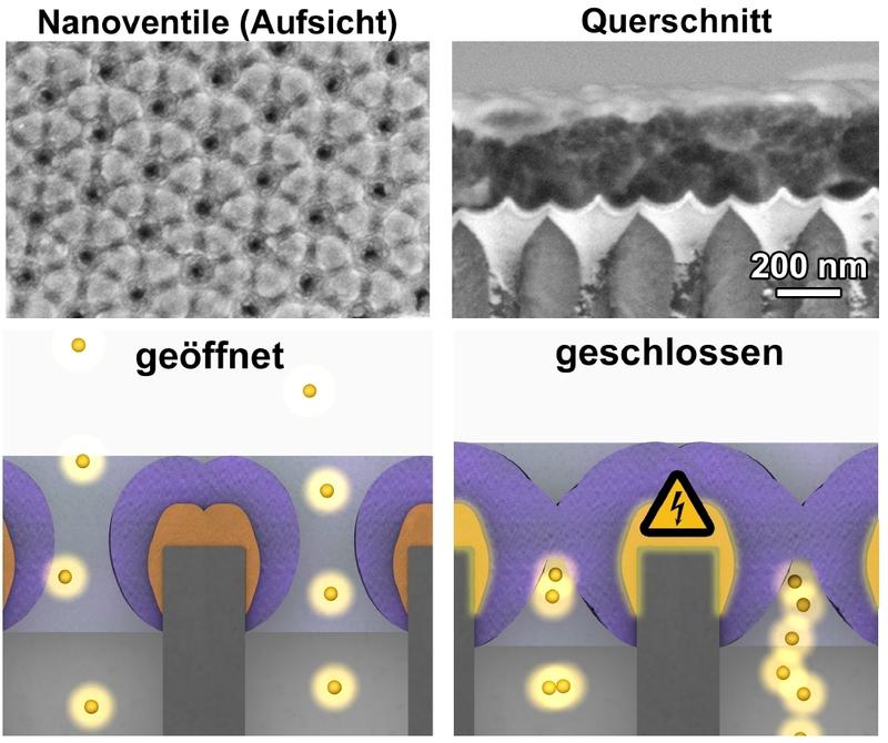 So funktioniert das elektrisch steuerbare Nanoventil, das künftig chemische Synthesen oder auch diagnostische Methoden auf dem Chip vereinfachen könnte.