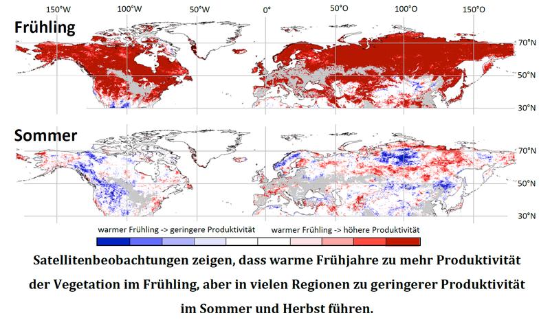 Satellitenbeobachtungen zeigen, dass warme Frühjahre zu mehr Produktivität der Vegetation im Frühling, aber in vielen Regionen zu geringerer Produktivität im Sommer und Herbst führen. 