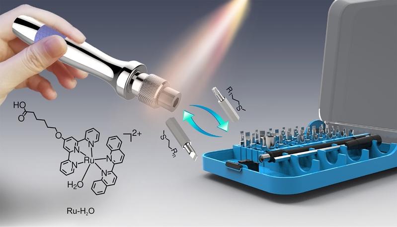 Schematic illustration of the visible-light-controlled reconfigurable surface functions. 