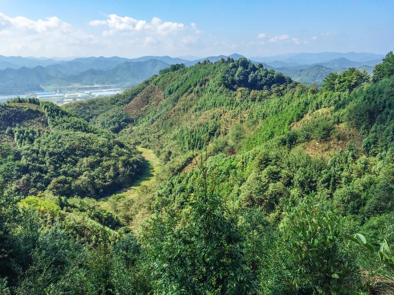 Die Untersuchungsflächen des Experiments BEF-China liegen in einem Berggebiet 400 Kilometer westlich von Shanghai.