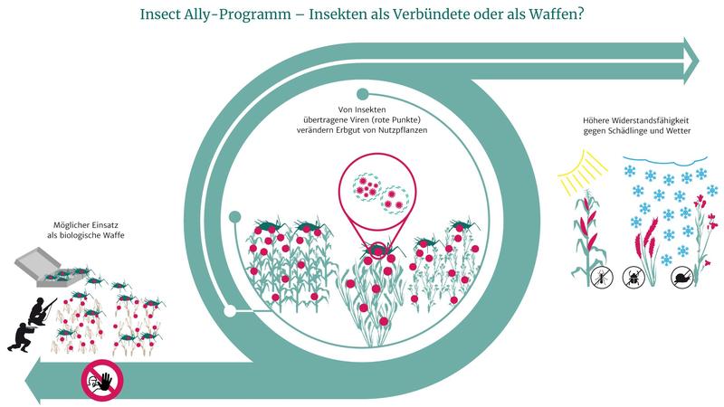 Forschungsprogramm mit mit Potenzial für militärischen Einsatz: Wissenschaftler befürchten, dass das US-amerikanische Programm andere Länder dazu verleiten könnte, selbst Biowaffen zu entwickeln. 