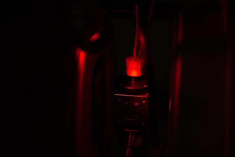 Phytochrome aus Pflanzen reagieren auf rotes und infrarotes Licht.