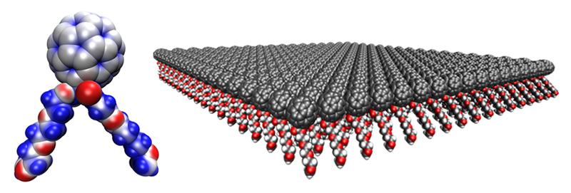 Schematische Darstellung eines einzelnen Fulleren-Moleküls mit wasserlöslichen Seitenketten (links) und die supramolekulare Struktur des zweidimensionalen Films aus einzelnen Molekülen (rechts).