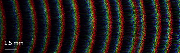 Wellen in einem komplexen Plasma in PK-4 auf der ISS. Die farbigen Punkte und Striche sind die vom Laser beleuchteten Mikropartikel.