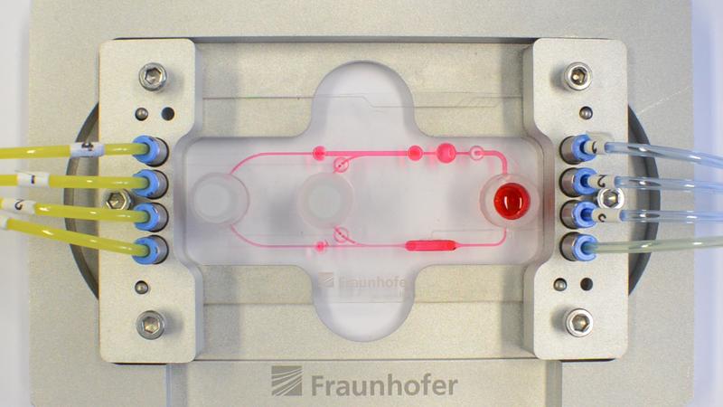 Das gleiche Schema in der Praxis auf einem bereits angeschlossenen Multiorgan-Chip mit Pumpen und Ventilen (kleine rote Punkte) sowie den Kammern für Organe, Gewebe, Blut und Wirkstoffe.