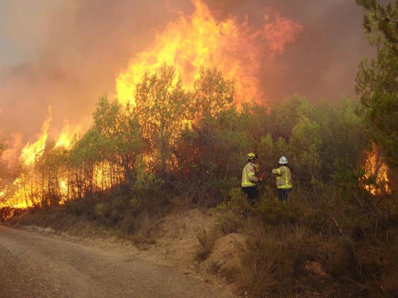 The Fire Department makes decisions on how to manage a wildfire in situ. Group of GRAF firefighters starting a backfire to control a large wildfire. Òdena wildfire, July 2015. Photo: Iago Otero.