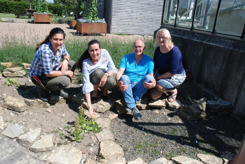 Das Team des Wildpflanzenschutzprojektes im Botanischen Garten der Universität Osnabrück mit (v.l.) Alexandra Lohstroh, Prof. Dr. Sabine Zachgo, Dr. Peter Borgmann und Silvia Oevermann.