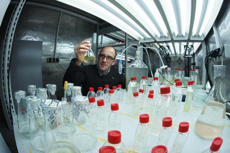 Prof. Dr. Georg Pohnert von der Uni Jena entdeckte mit seinem Team eine von Algen produzierte schwefelhaltige chemische Verbindung.