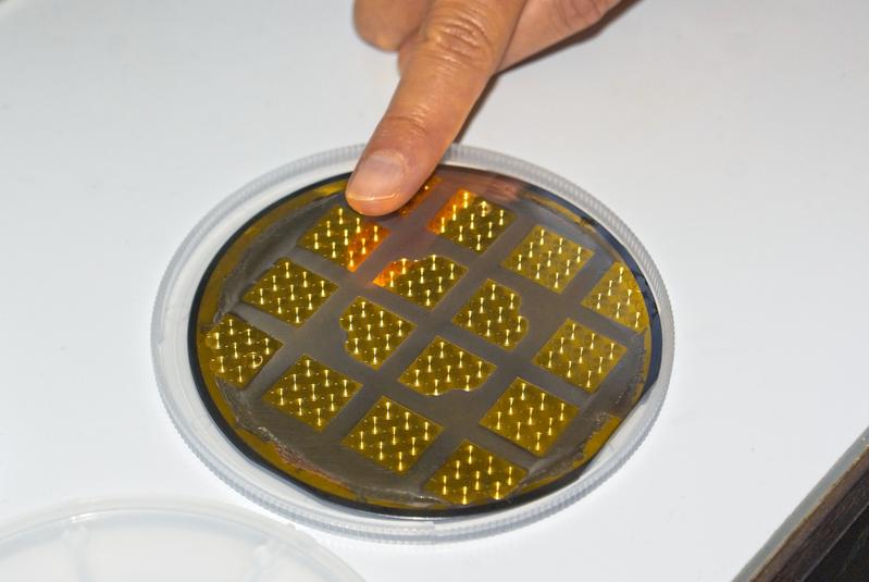 Die Uhrenfedern werden auf einem vergoldeten Siliziumwafer galvanisiert, der mit einer lichtempfindlichen Farbe beschichtet ist.