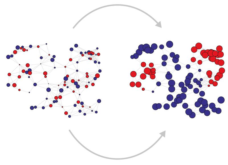 Computer-Simulationen verdeutlichen den Prozess der Entstehung und Entwicklung von Polarisierung in Abhängigkeit vom zeitlichen Verlauf.